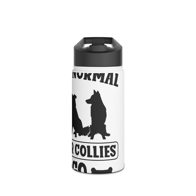 I Was Normal 2 Border Collies Ago Water Bottle