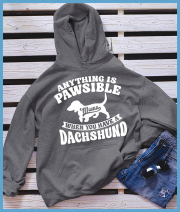 Anything Is Pawsible Hoodie