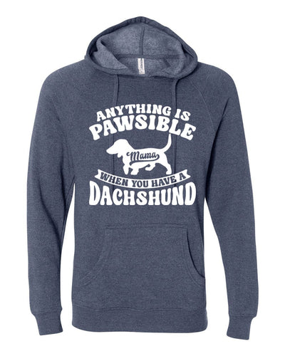 Anything Is Pawsible Hoodie