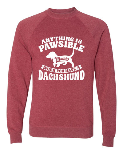 Anything Is Pawsible Sweatshirt