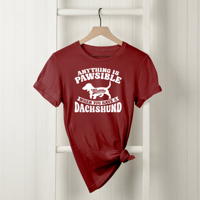 Anything Is Pawsible T-Shirt